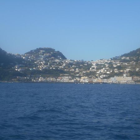 Appartamento Mare E Monti Two Pimonte Eksteriør billede